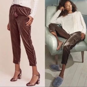 elevenses Brown Velvet Drawstring Ankle Pants